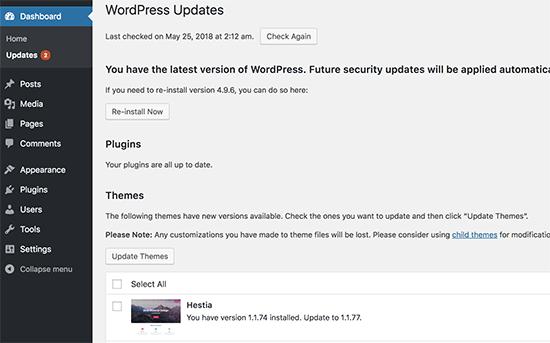 Check for WordPress and theme updates