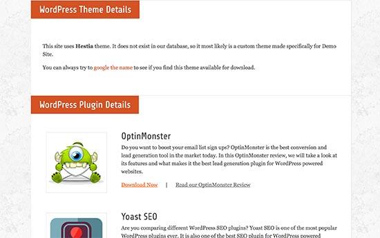 WordPress theme and plugin details