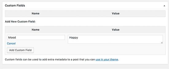 Adding custom field to a WordPress post or page