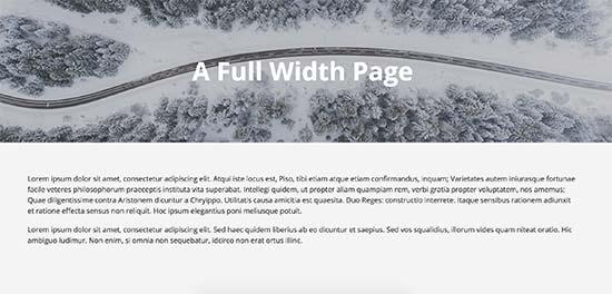 Full width page using theme