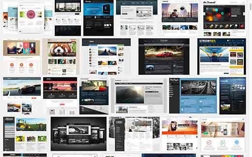 Thousands of WordPress Themes to Choose From