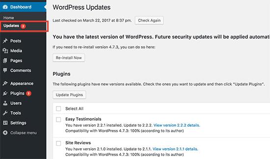 Updates page in WordPress admin area
