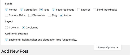 Screen Options settings on post edit screen in WordPress
