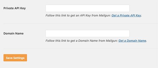 API key and domain name