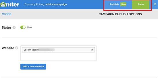 Save and publish your campaign