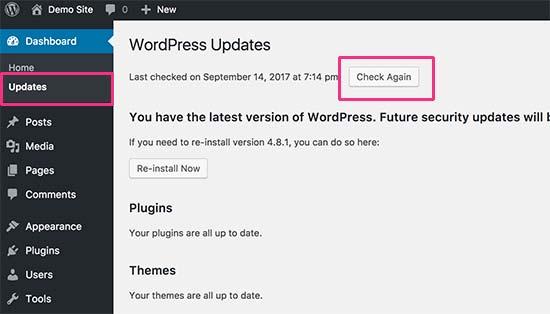 Check for WordPress updates