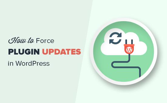 Force WordPress plugin updates