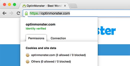 A site secured by SSL and HTTPS
