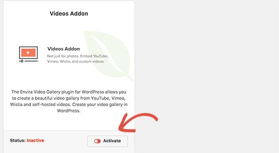 Activate video addon