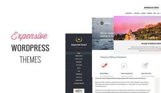 Expensive WordPress Themes
