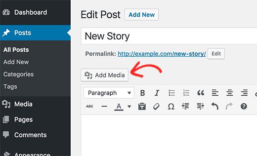 Add image in a WordPress post or page