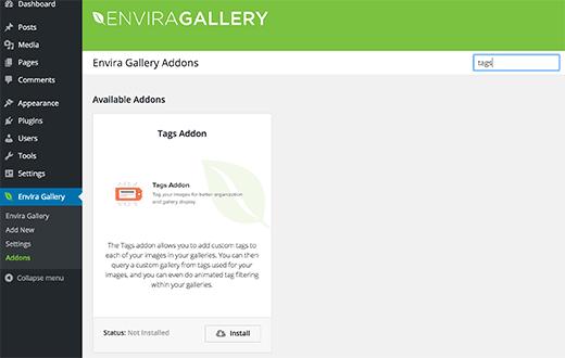 Envira Gallery tags addon
