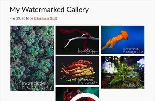 An image gallery in WordPress with watermarked images