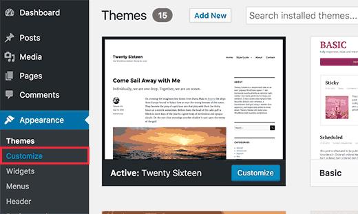 Launching theme customizer in WordPress