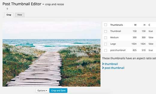 Editing thumbnails for old images in WordPress media library