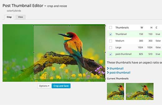 Launch post thumbnail editor from the post editor screen