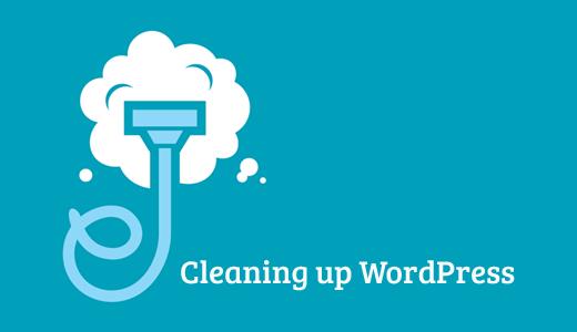 Cleaning up WordPress Database