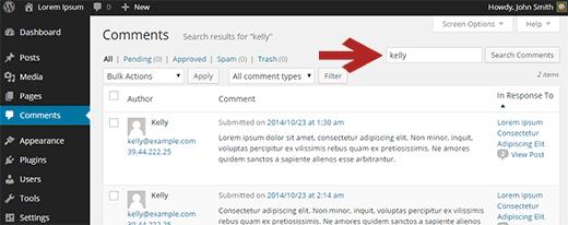 Searching comments in WordPress