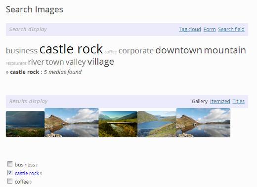 Image search page with tag cloud 