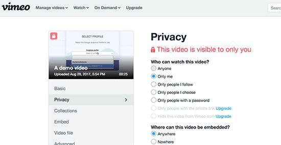 Vimeo视频隐私