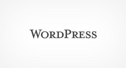 WordPress这个名字是由Christine Selleck Tremoulet提出的