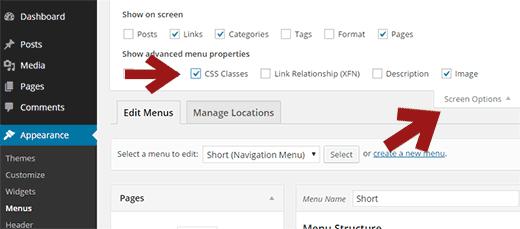 Enable CSS classes option for Navigation Menus
