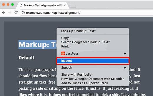 Opening Inspect Element or developer tools in your browser