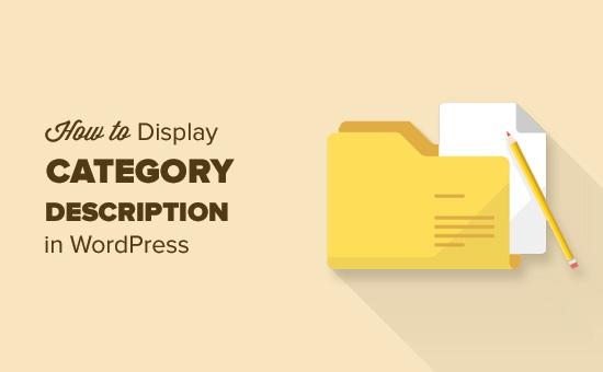 How to display category description in WordPress
