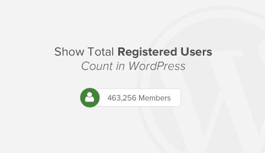 How to Show Total Number of Registered Users in WordPress