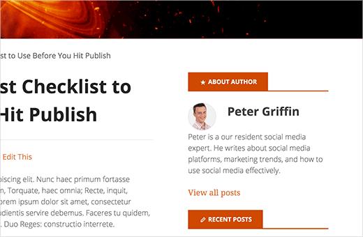 Author info widget in WordPress