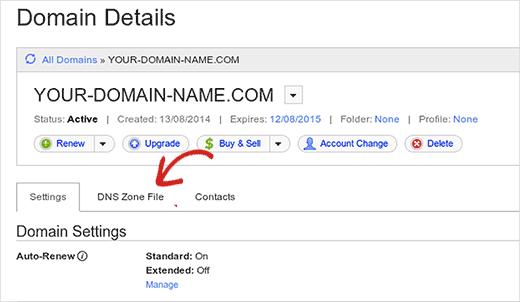 Launch DNS Zone File in GoDaddy
