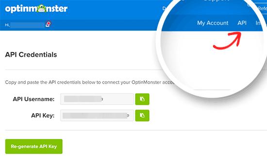 Copy OptinMonster API username and key