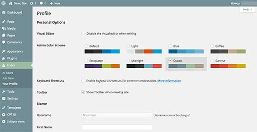 Changing the color scheme of WordPress admin area