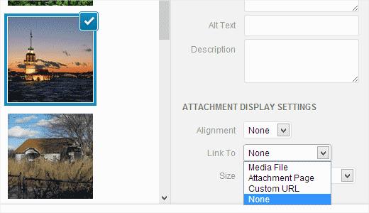 Removing default image link option in WordPress