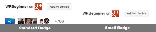Google+ Add to Circles Badge