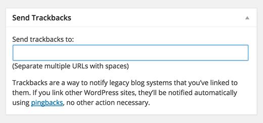 Excerpt box on WordPress post editing screen