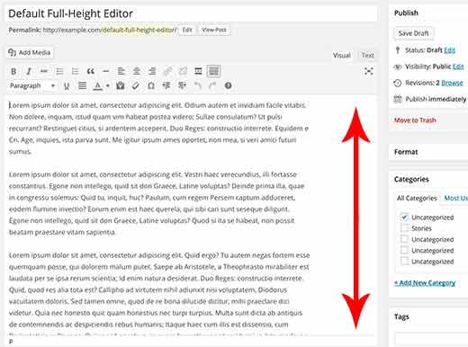 Default full height editor in WordPress