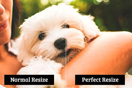 Comparing normal resize vs perfect resize