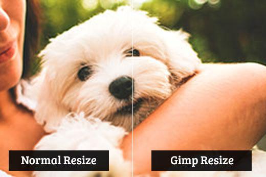 Comparing Gimp resize vs normal resize