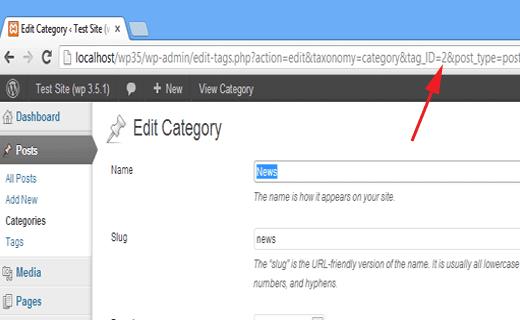 finding category, terms, and tags ID in WordPress
