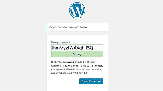 Enter a new password for your WordPress account