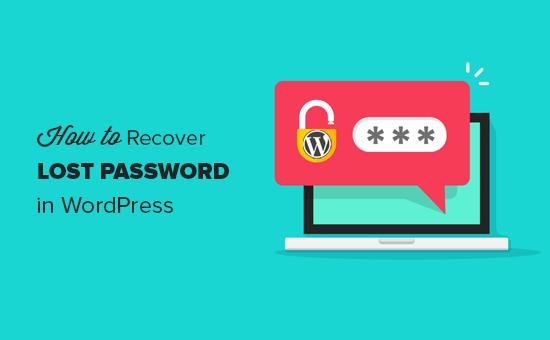 How to recover lost password in WordPress