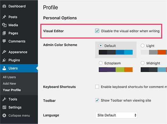 Disable visual editor in WordPress