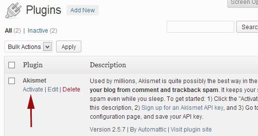 Activate Akismet in WordPress