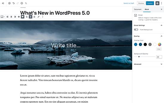 New WordPress editor called Gutenberg