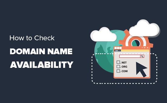 Checking for domain name availability using domain search tools