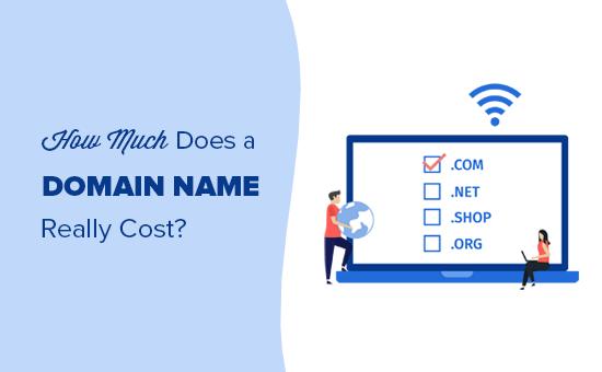 How much does a domain name really cost